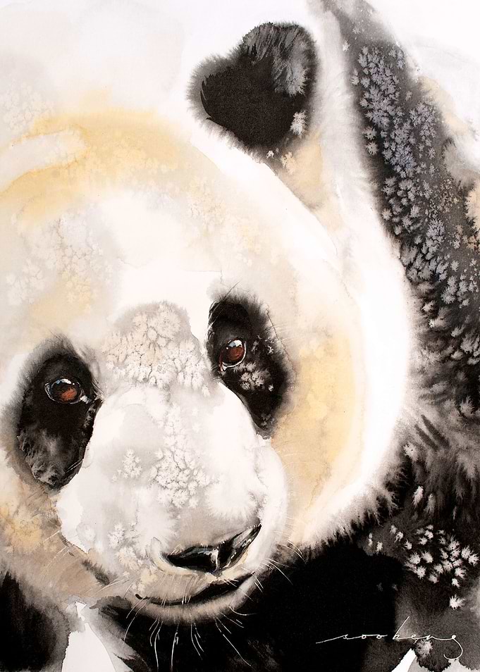 Panda Trail2