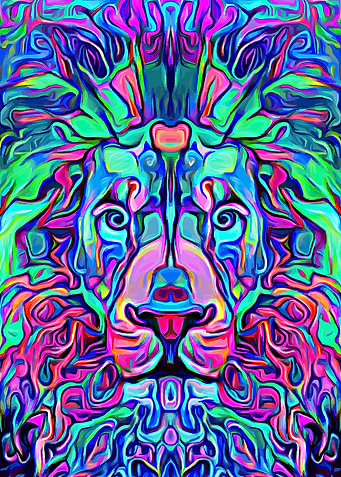 Lion Mystery