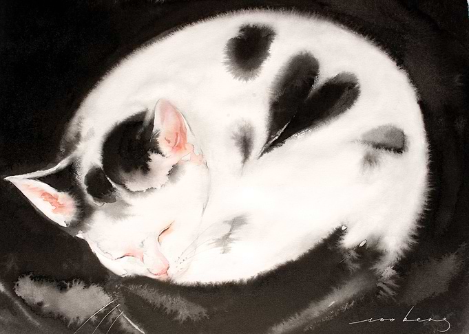 Sweetheart Dream