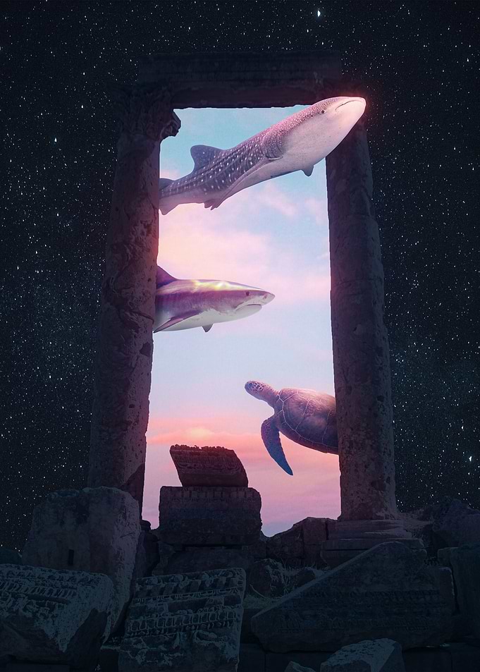 Sea Portal