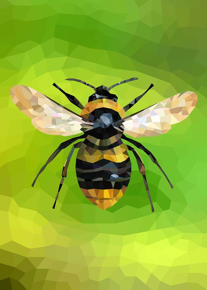 Bee in polygon