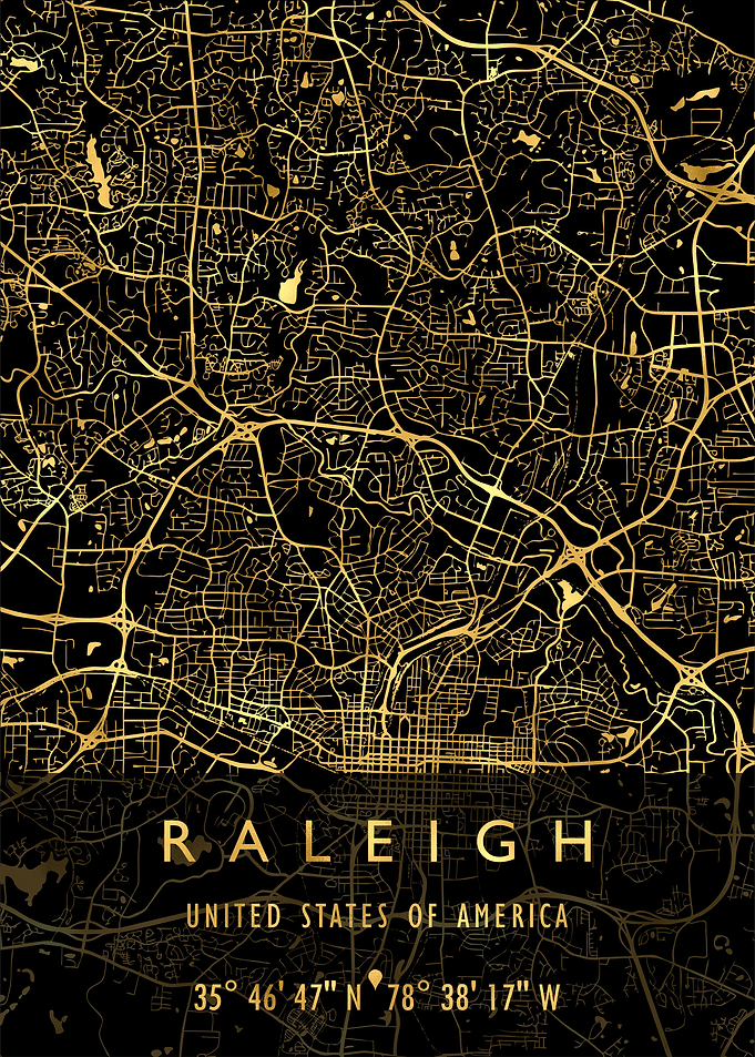 RALEIGH MAP USA