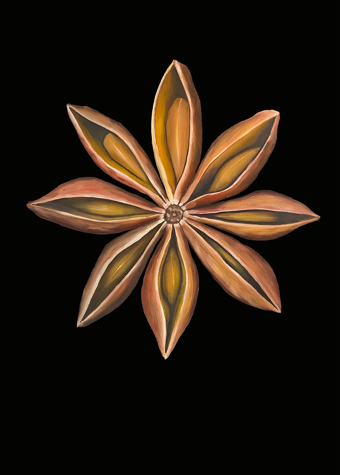 Star anise spice