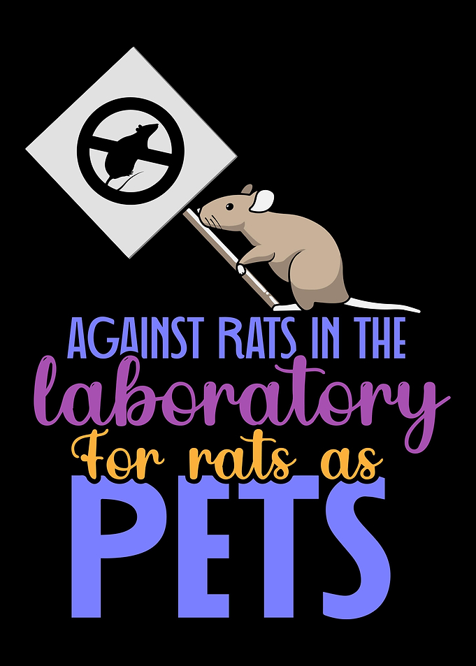Rats Rat Rodent