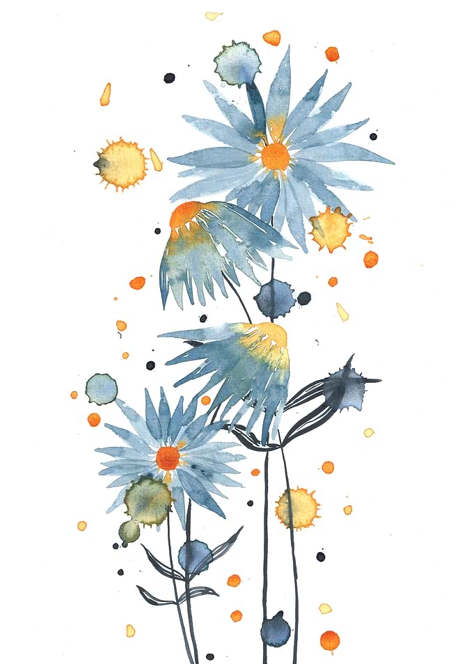 Blue daisies