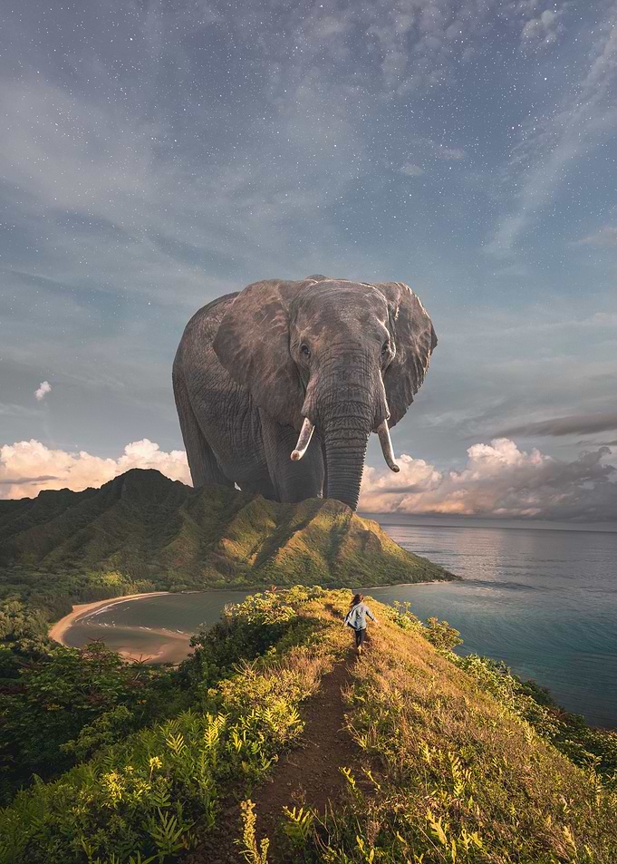huge elephant