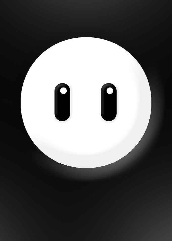 Fall Guys Face Black