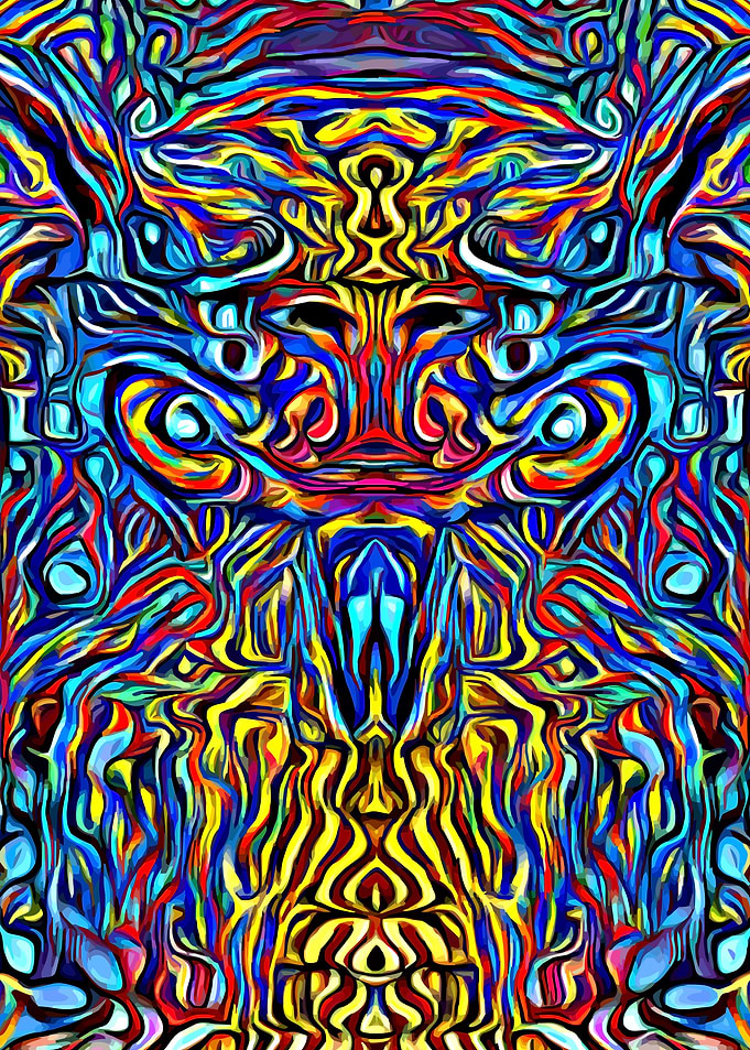 Owl Colorful
