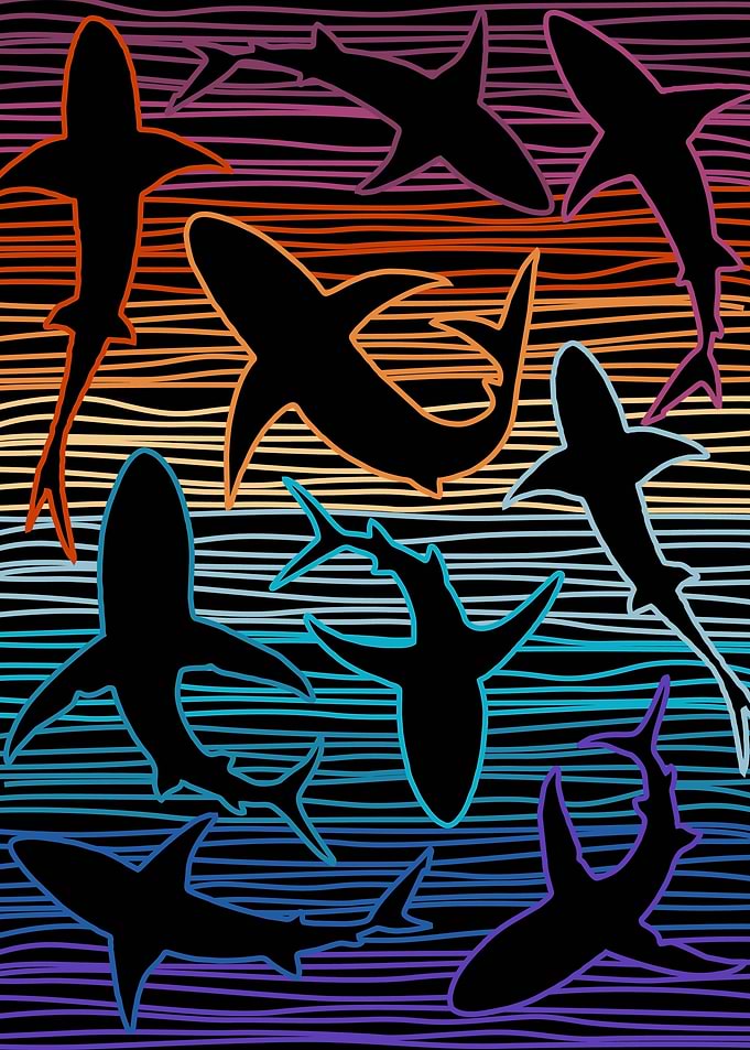 Sharks Sunset