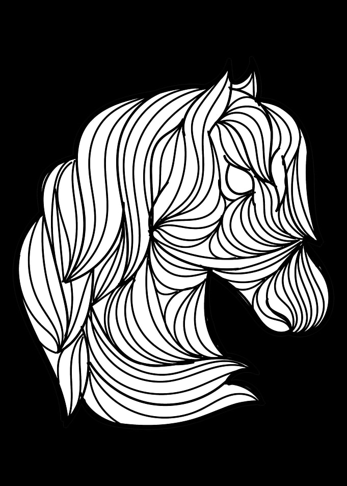 Wild Stallion