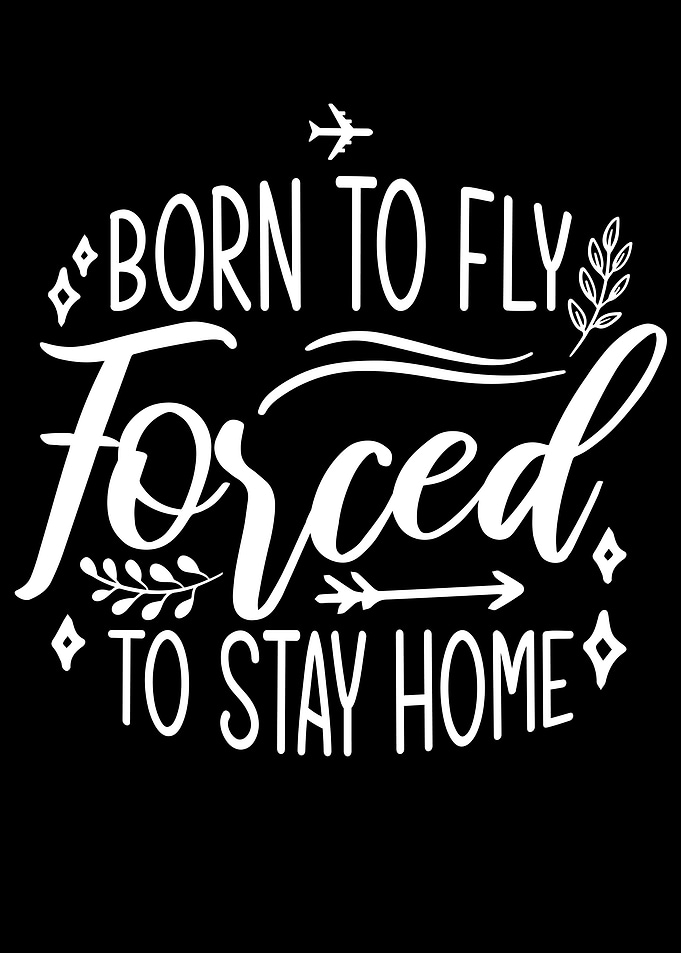 Born to Fly Forced to Stay