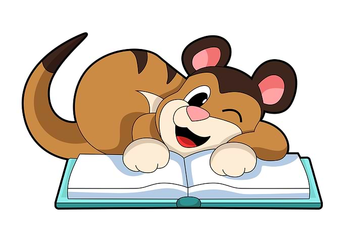 Meerkat Book