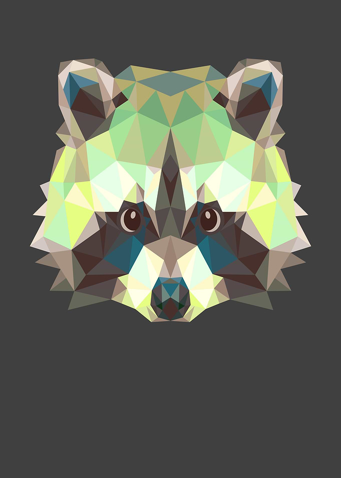 Racoon