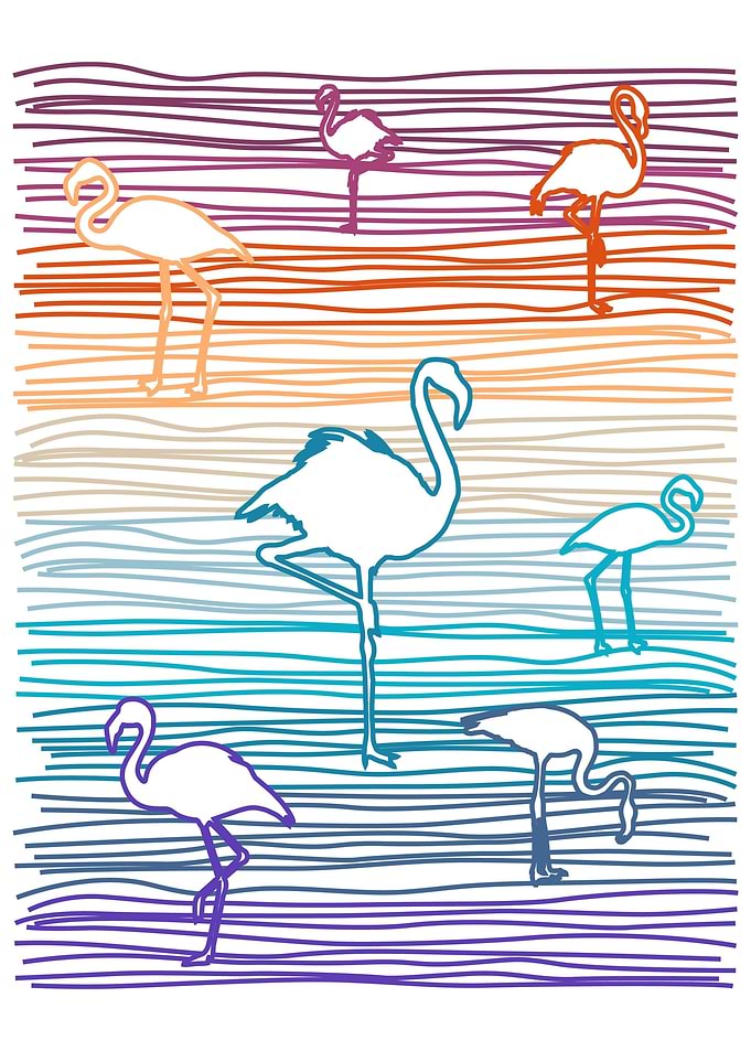 The Flamingos
