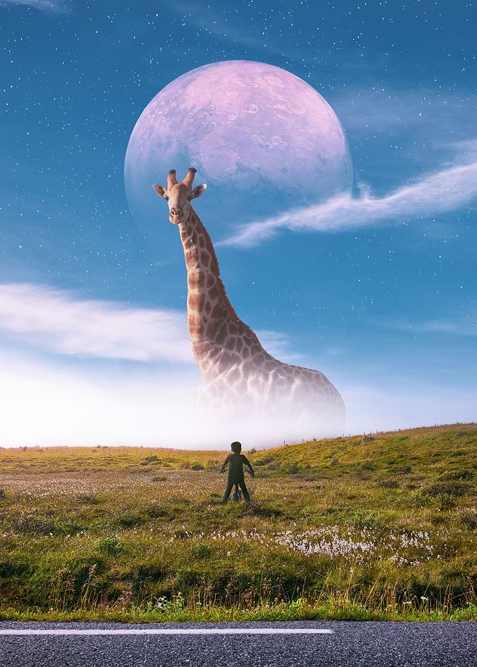 huge giraffe