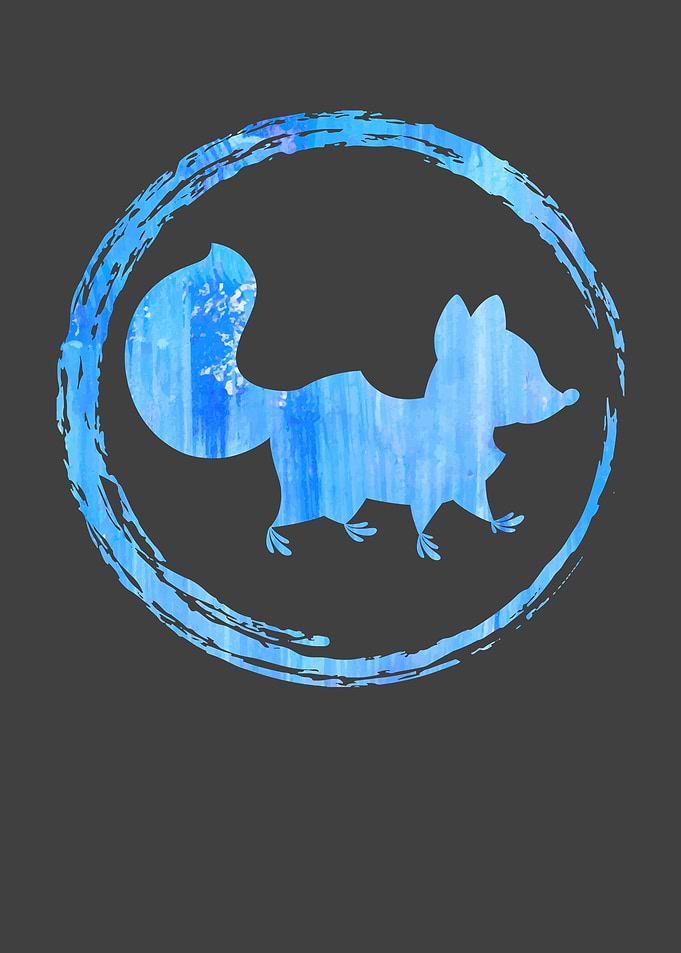 Racoon