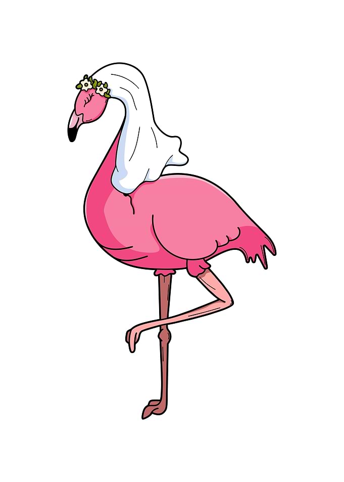 Flamingo Bride Wedding