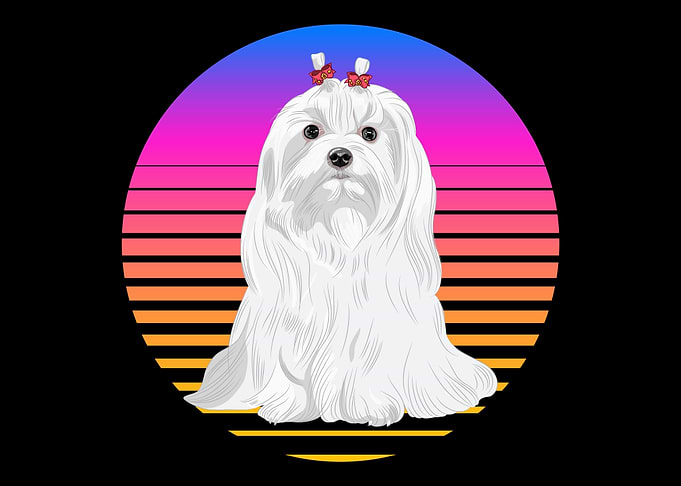 Maltese Retro Sunset Malte