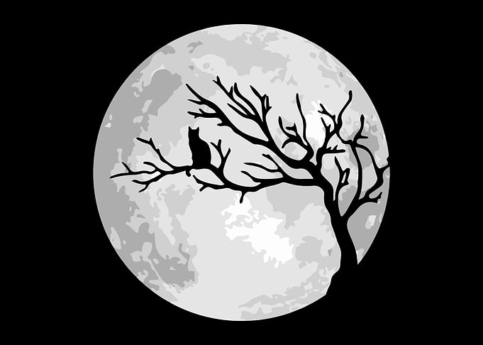 Moon cat halloween
