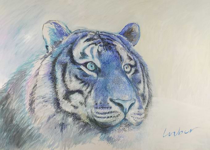 Blue Tiger