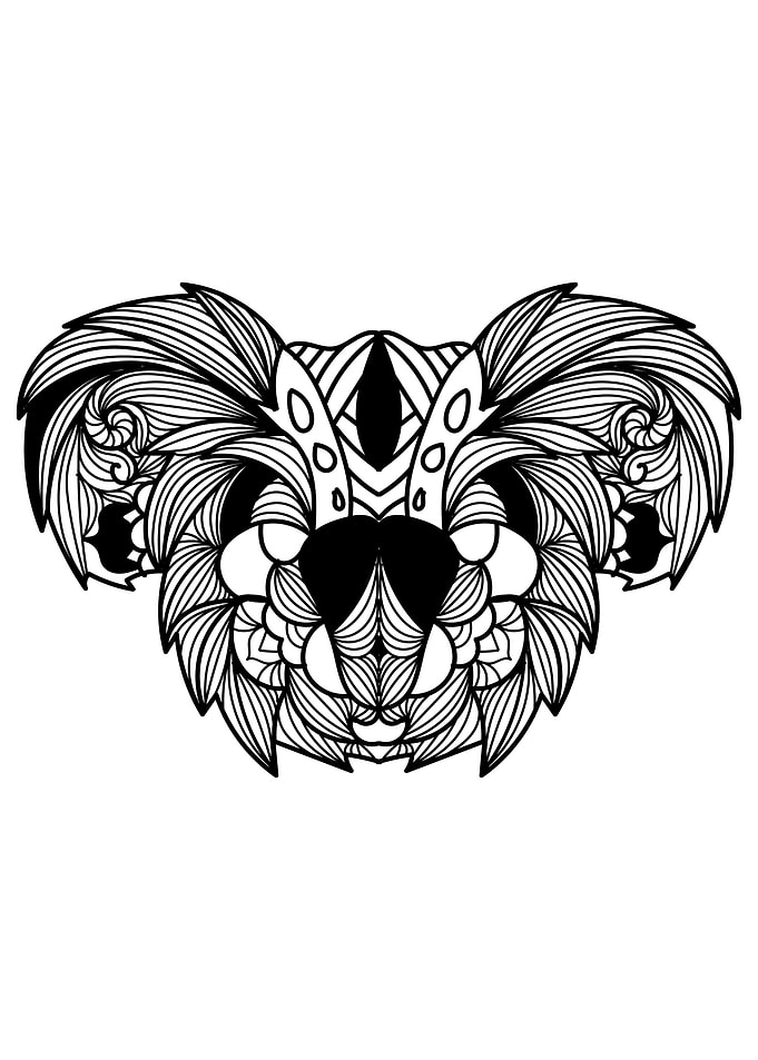 Koala