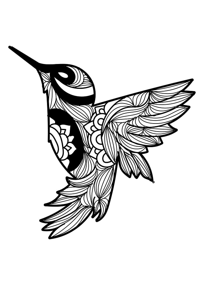 Hummingbird