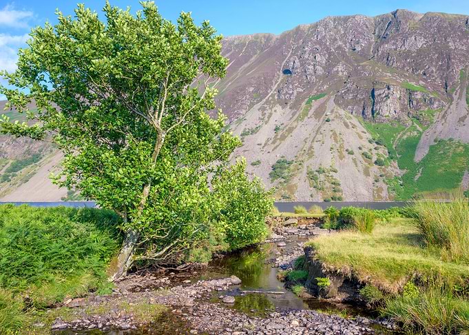 Lake District Landscape