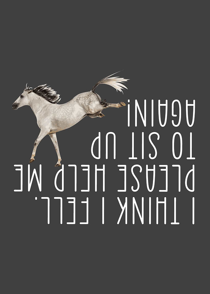 Horse Love Riding Horses
