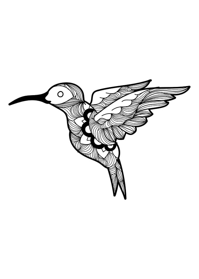 Hummingbird