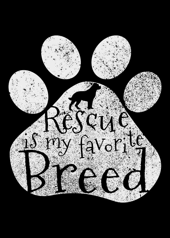 Dog Rescue Adoption