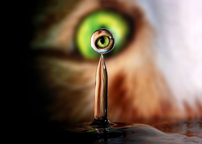 Cats Eye Water Drop