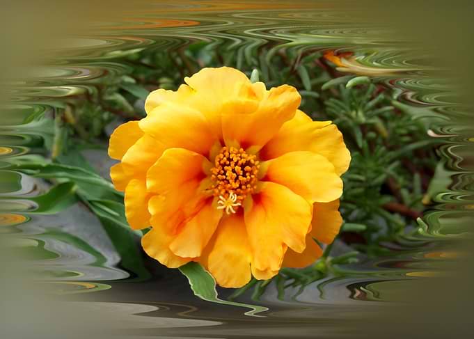 Warm colors of the summer