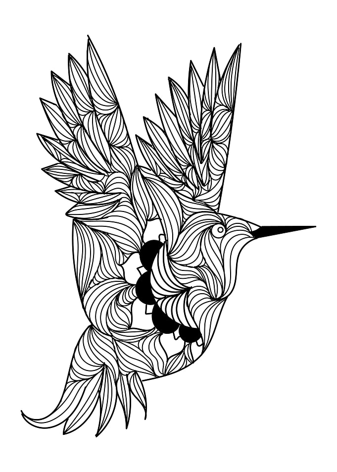 Hummingbird