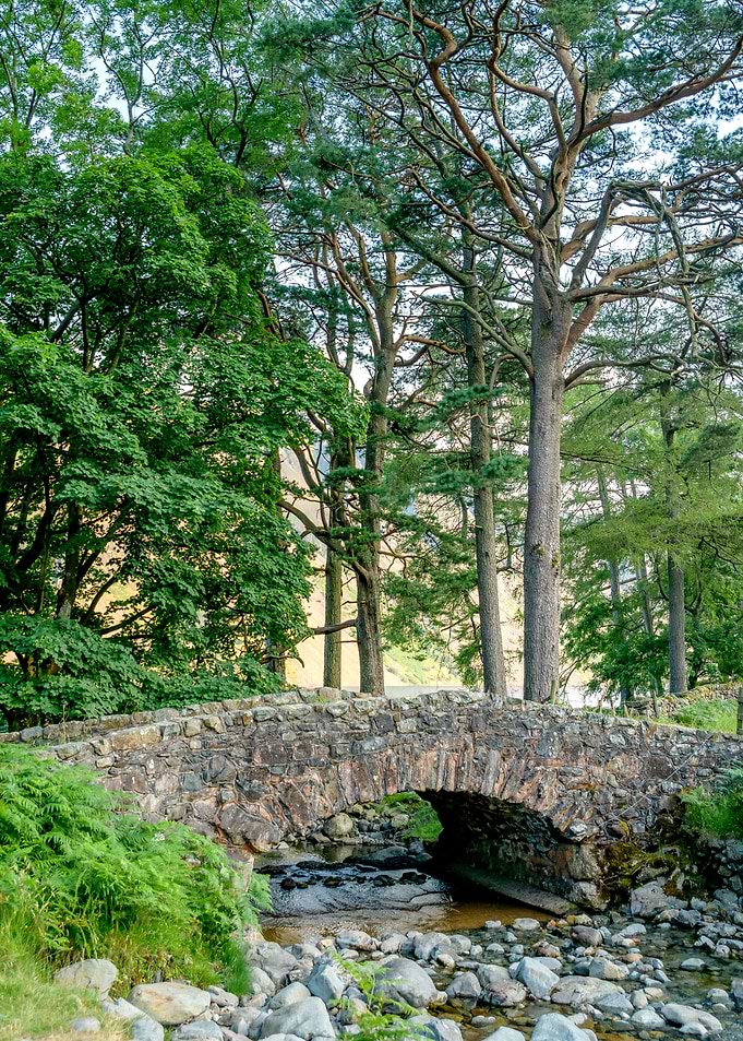 River Bridge