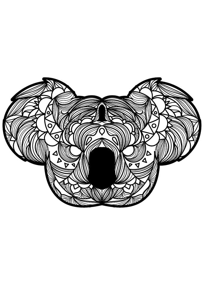 Koala