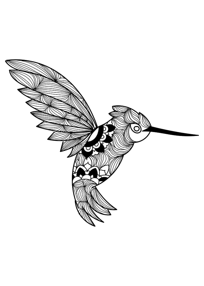 Hummingbird
