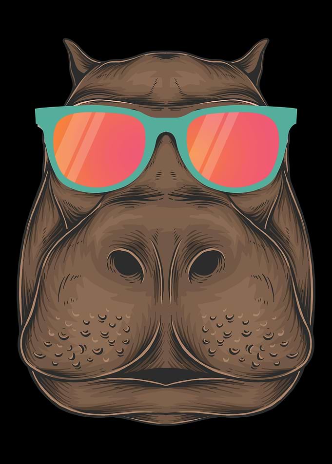 Cool Hippo Sunglasses Hipp