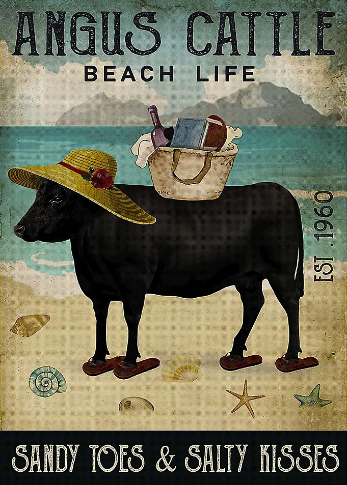 Angus Cattle