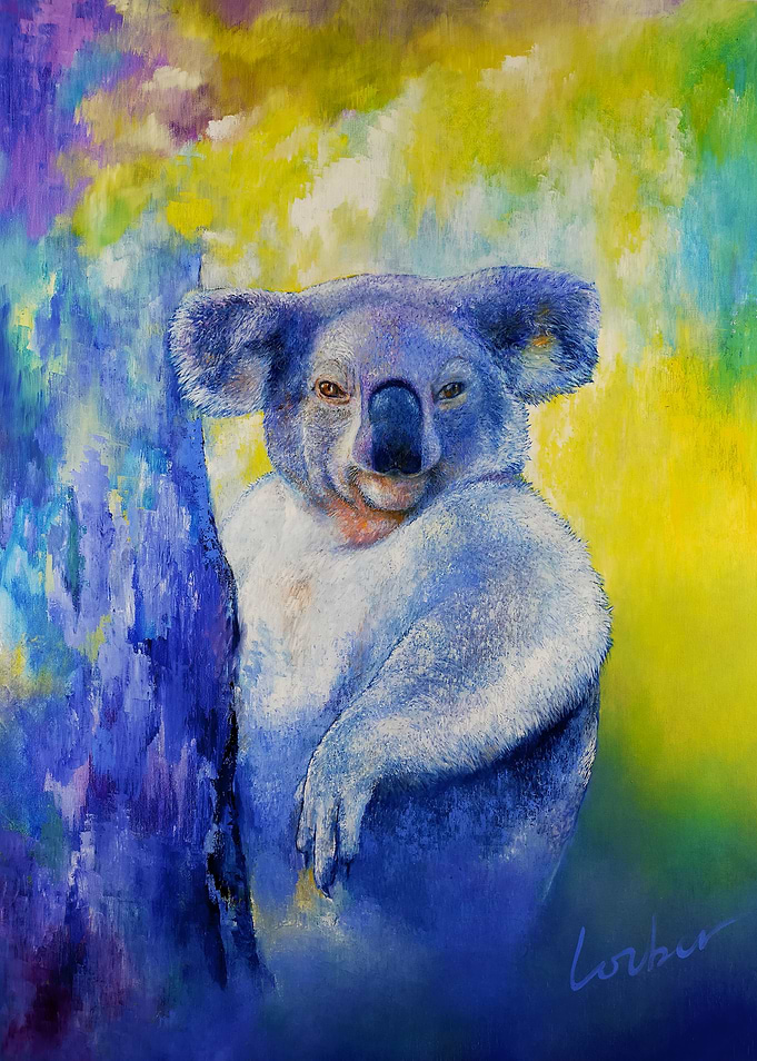 Koala