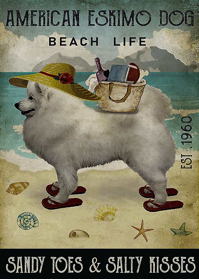 American Eskimo Dog Beach