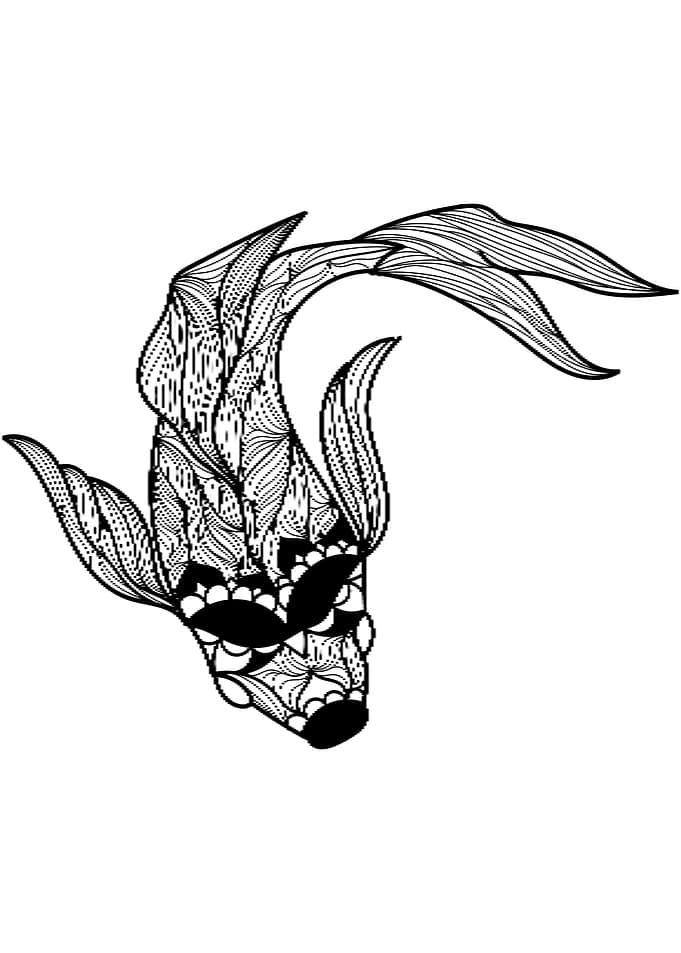 Koi Fish