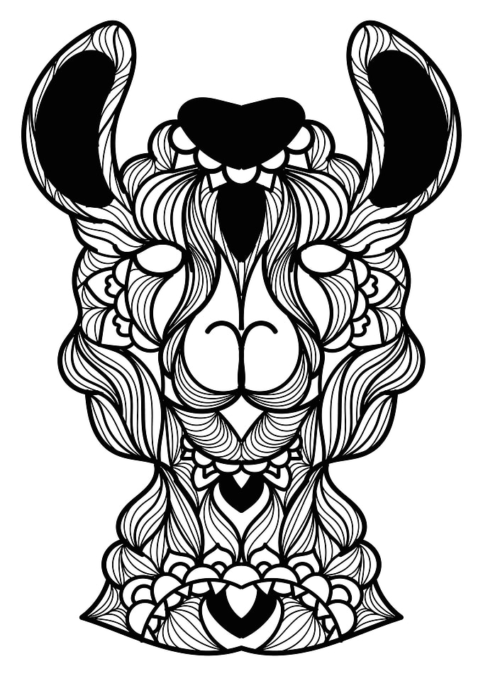 Llama