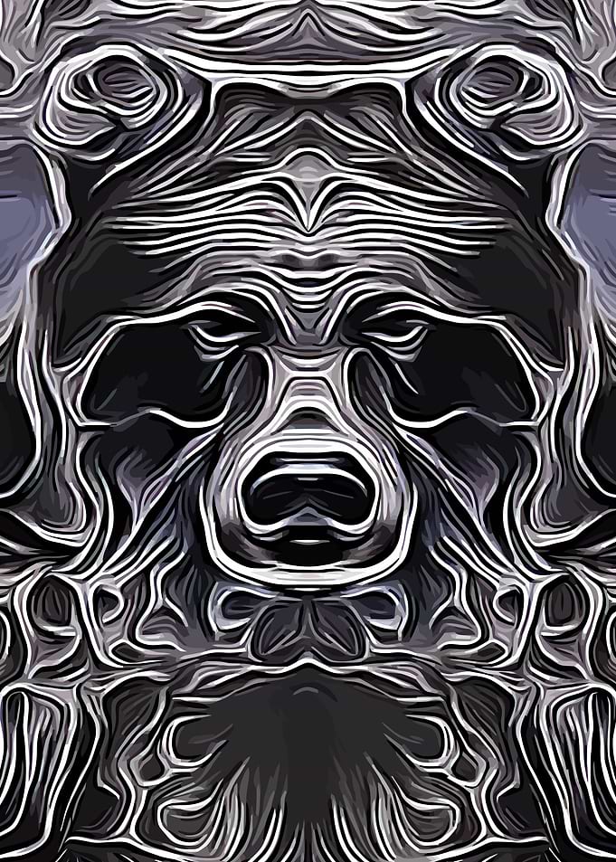 Bear Steel