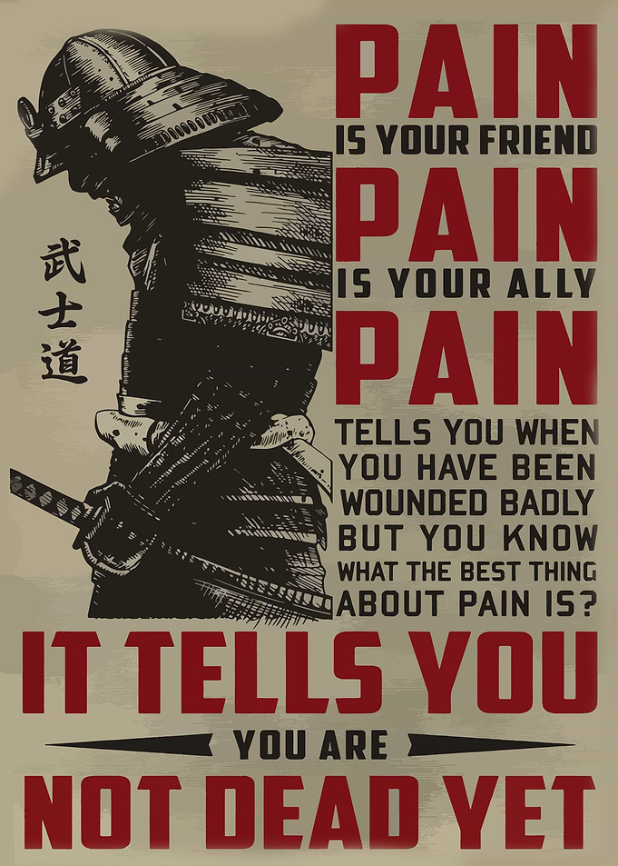 SAMURAI Japan Quote
