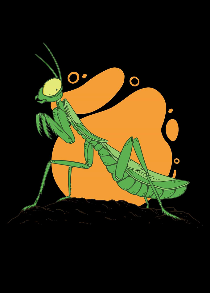 Praying Mantis