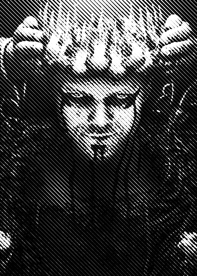 ivar VIkings