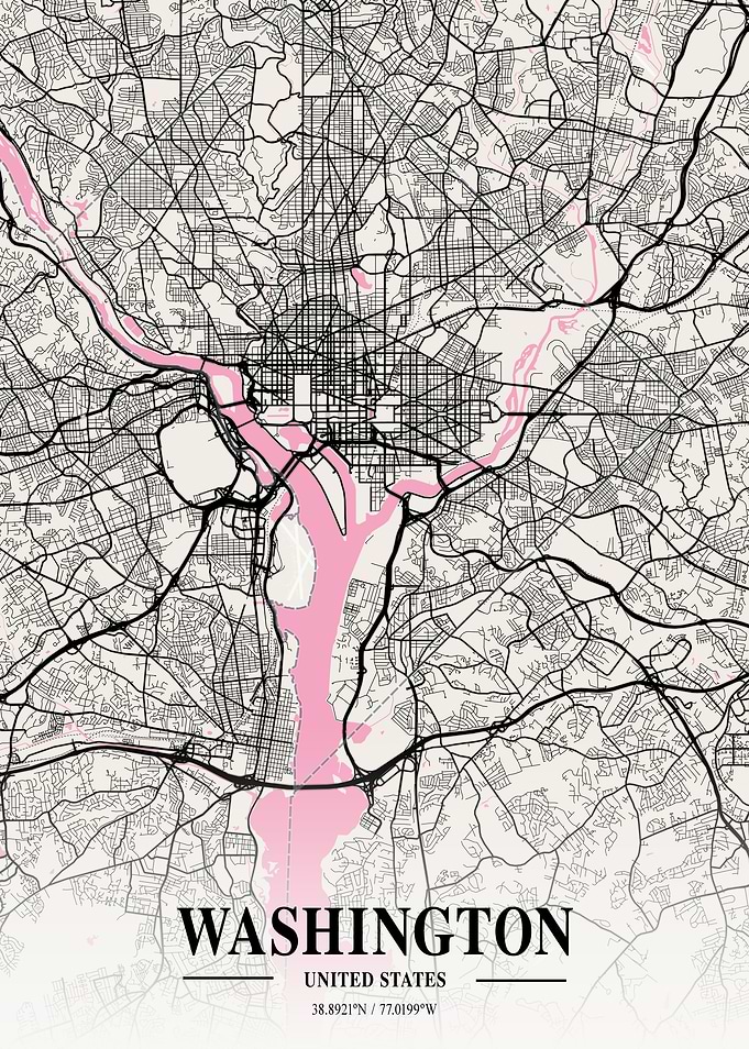 Washington Neapolitan Map
