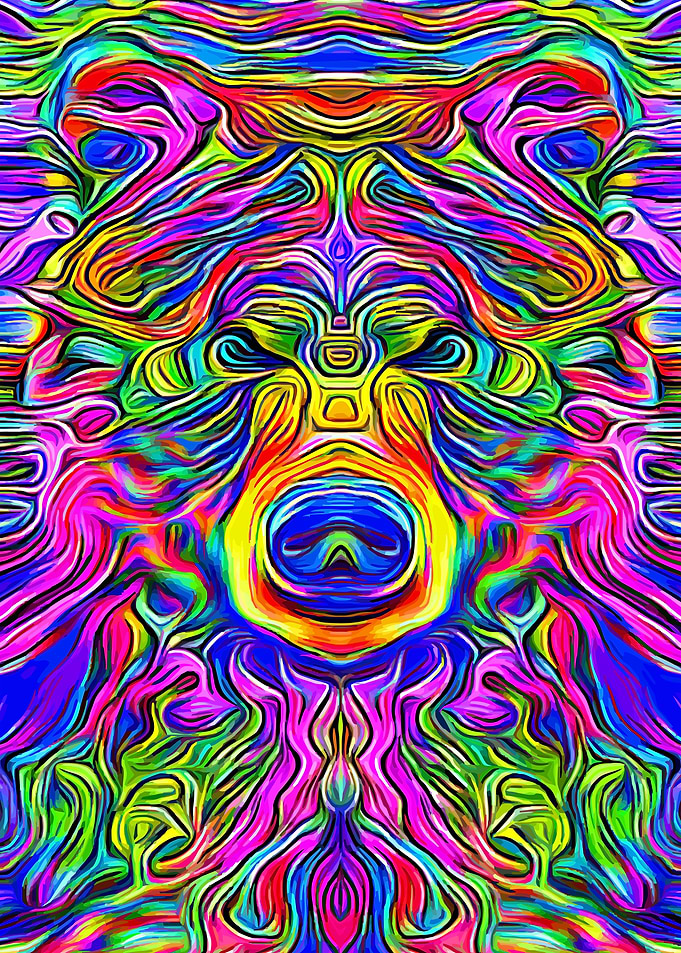 Bear Psychedelic 2