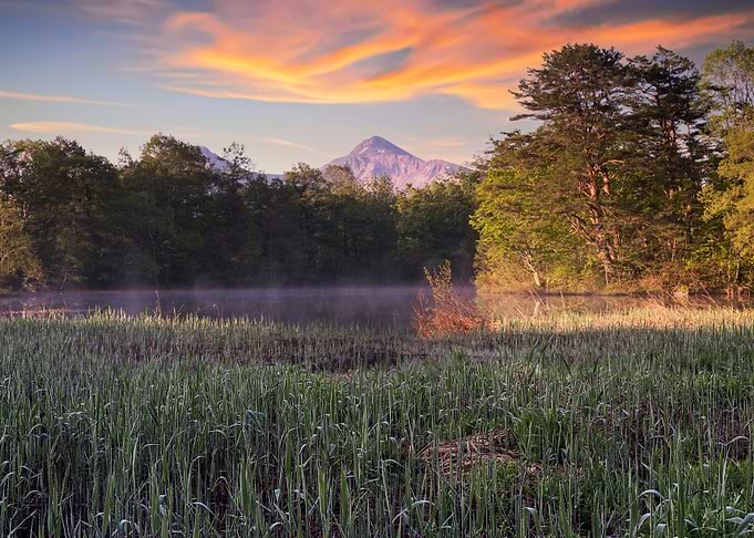 Morning light at the lake