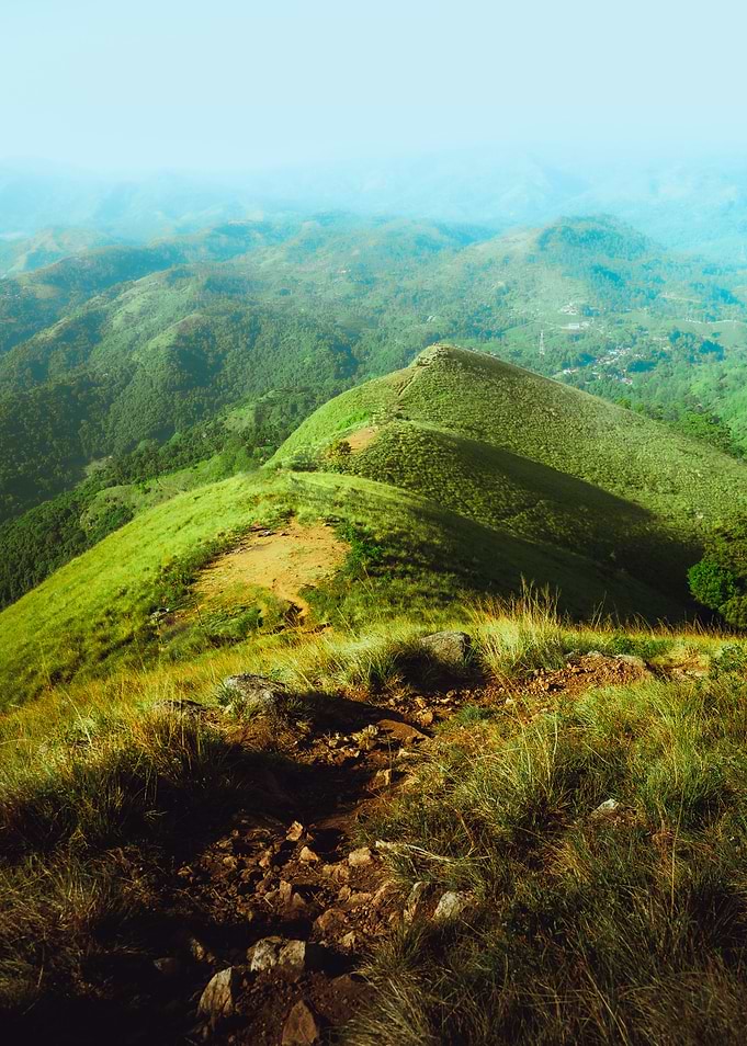 The Hills